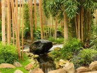 zen-garden-relaxation-photo-man-made-31588668