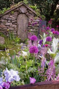 Stone garden Walk path with lush flower garden and stone shed, with lawn grass, irises, allium, in pink, lavender and blue color theme tones in late spring bloom, includes Cirsium rivulare 'Atropurpureum' composite, Salvia pratensis 'Pink Delight'