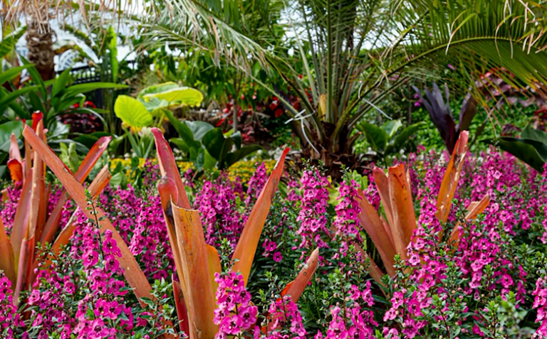 Самые лучшие ландшафтные дизайнеры Мира